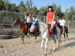 Horse Riding in Sharm El Sheikh – Feel the Freedom of the Golden Desert!