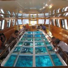 Glass Boat Trip in Sharm El Sheikh